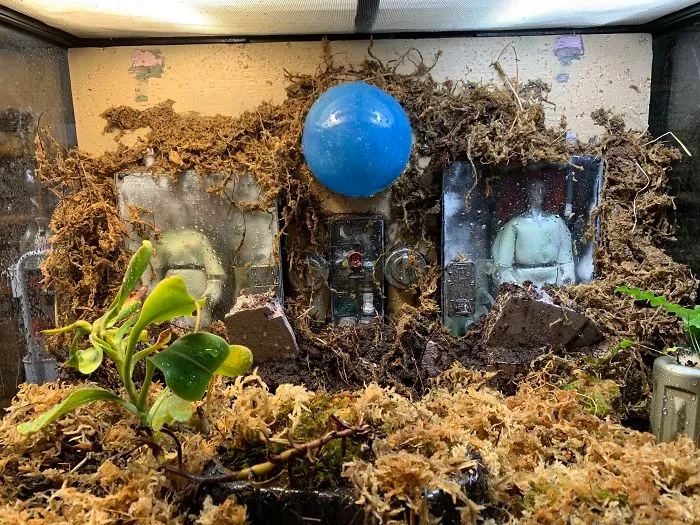 I Visited Texas Triffid Ranch: Dallas’s Carnivorous Plant Gallery (14 Pics)