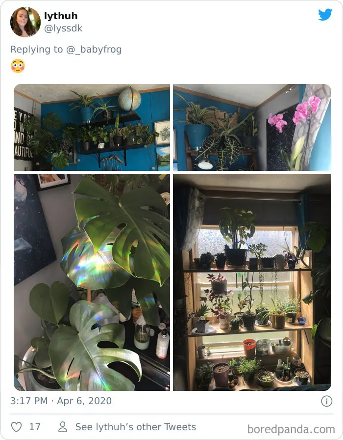 People Are Saying This Comic About Plants Is So True, And Post Pics To Prove It (30 Pics)