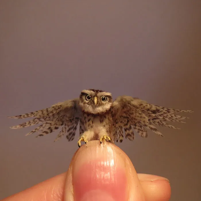 30 Biologically Accurate Miniature Animals Created By Renowned Hungarian Artist Fanni Sandor