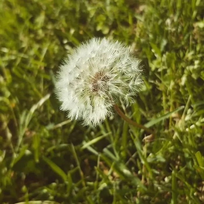 I'm A 16-Year-Old Photographer, And I View The World Through Photos