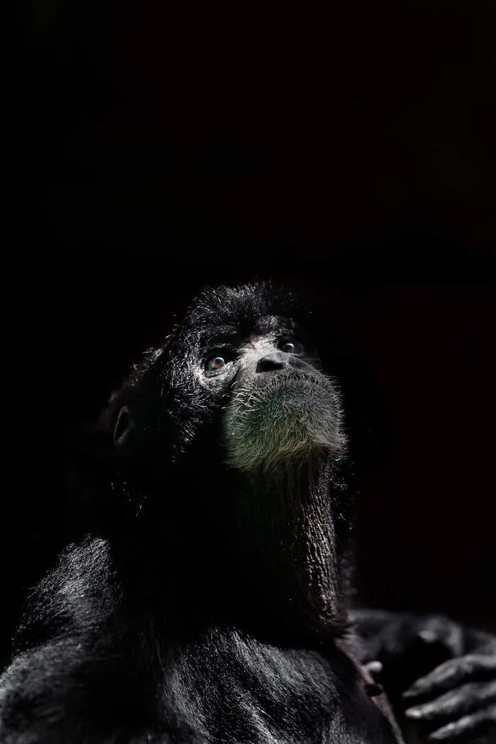 I Am A Wildlife Hunter, But I Hunt With My Camera (19 Pics)
