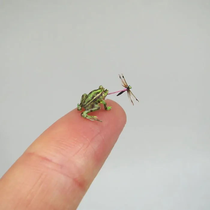 30 Biologically Accurate Miniature Animals Created By Renowned Hungarian Artist Fanni Sandor