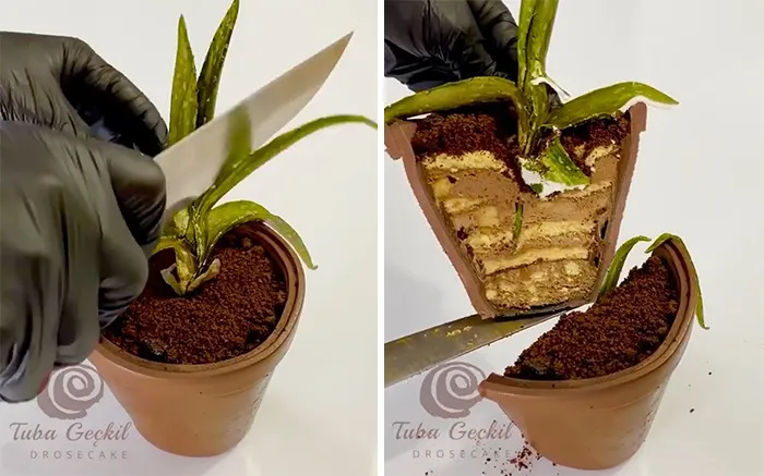 Turkish Baking Master's 87 Cakes That Are Too Good To Eat