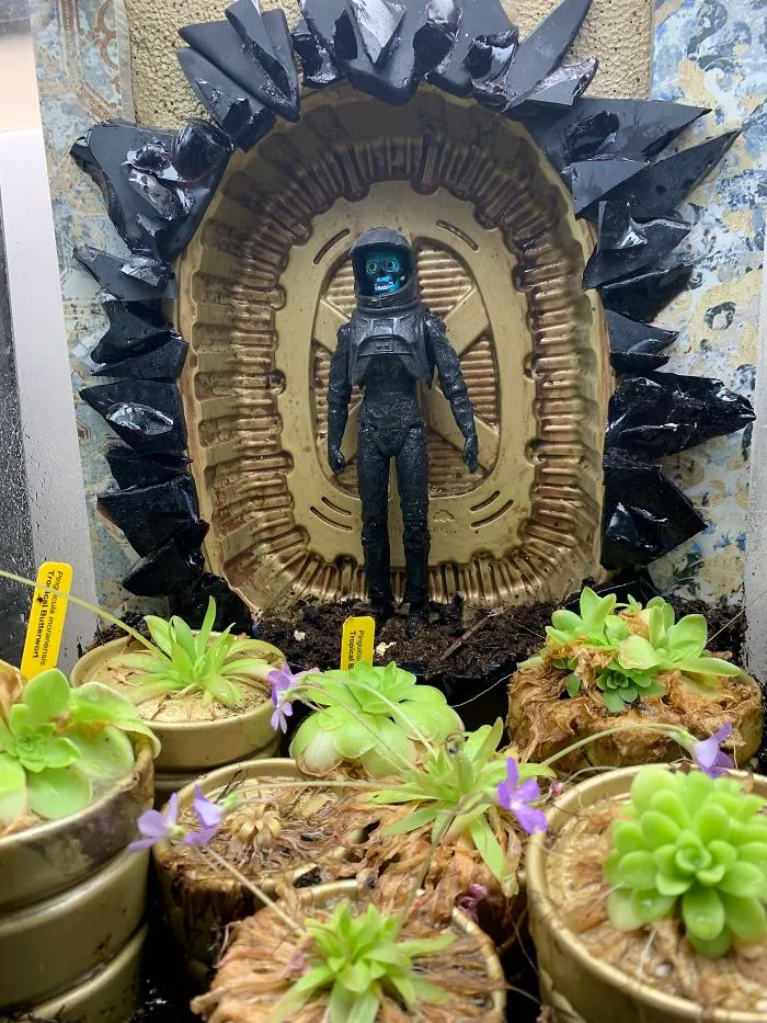 I Visited Texas Triffid Ranch: Dallas’s Carnivorous Plant Gallery (14 Pics)