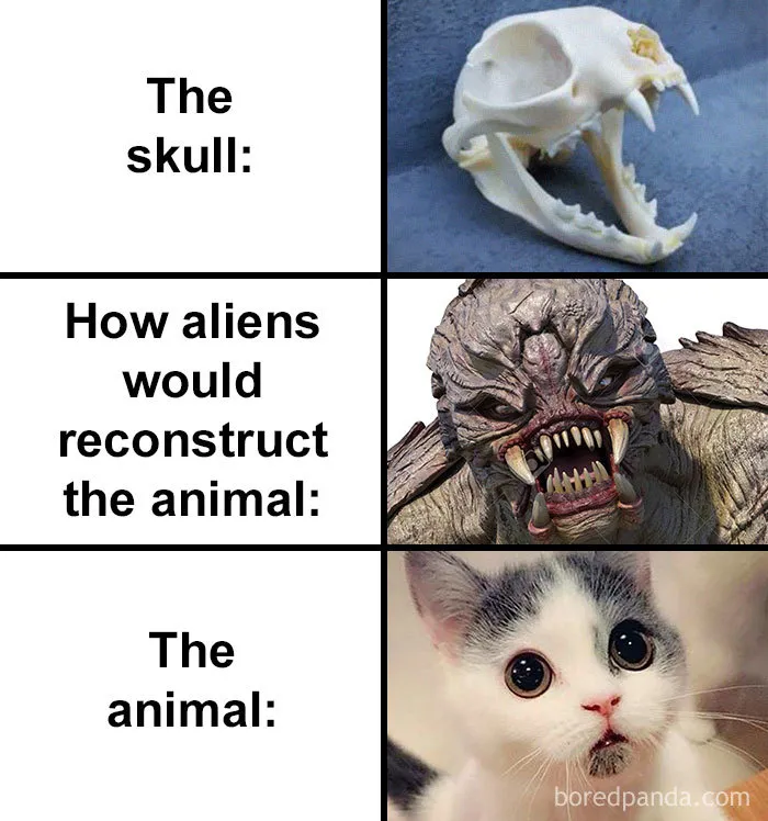 People Compare How Aliens Would Reconstruct Animals Based On Their Skulls Vs. What They Really Look Like (28 Pics)