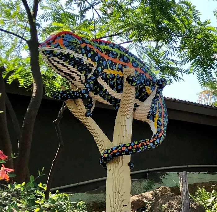 Chameleon