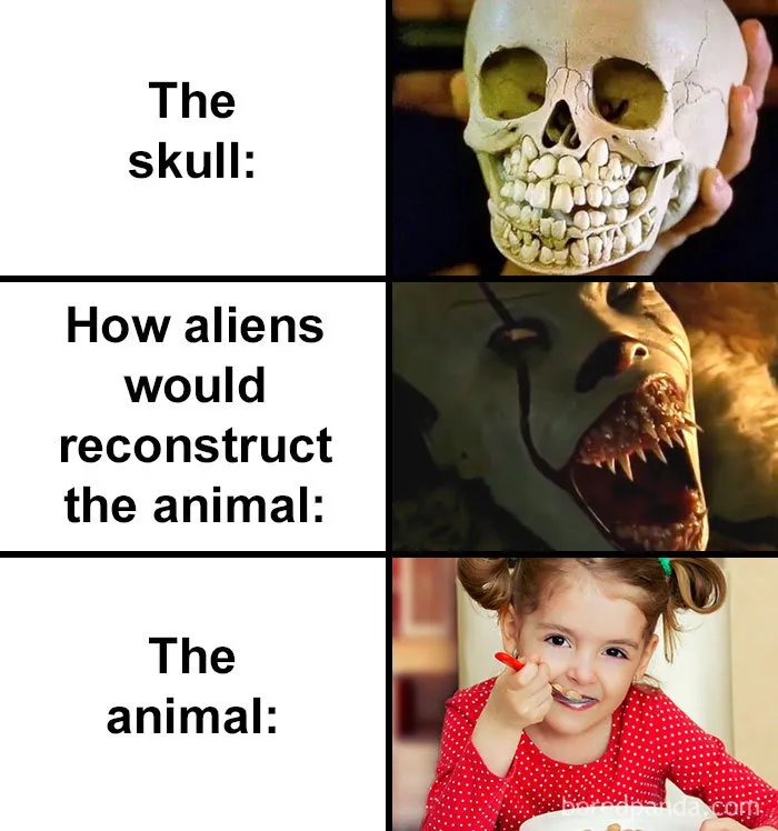 People Compare How Aliens Would Reconstruct Animals Based On Their Skulls Vs. What They Really Look Like (28 Pics)