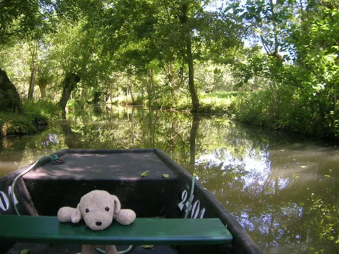Meeting Peace - Marais Poitevin - France