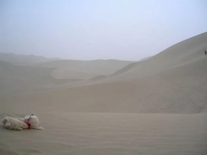 Curves - Dunhuang - China
