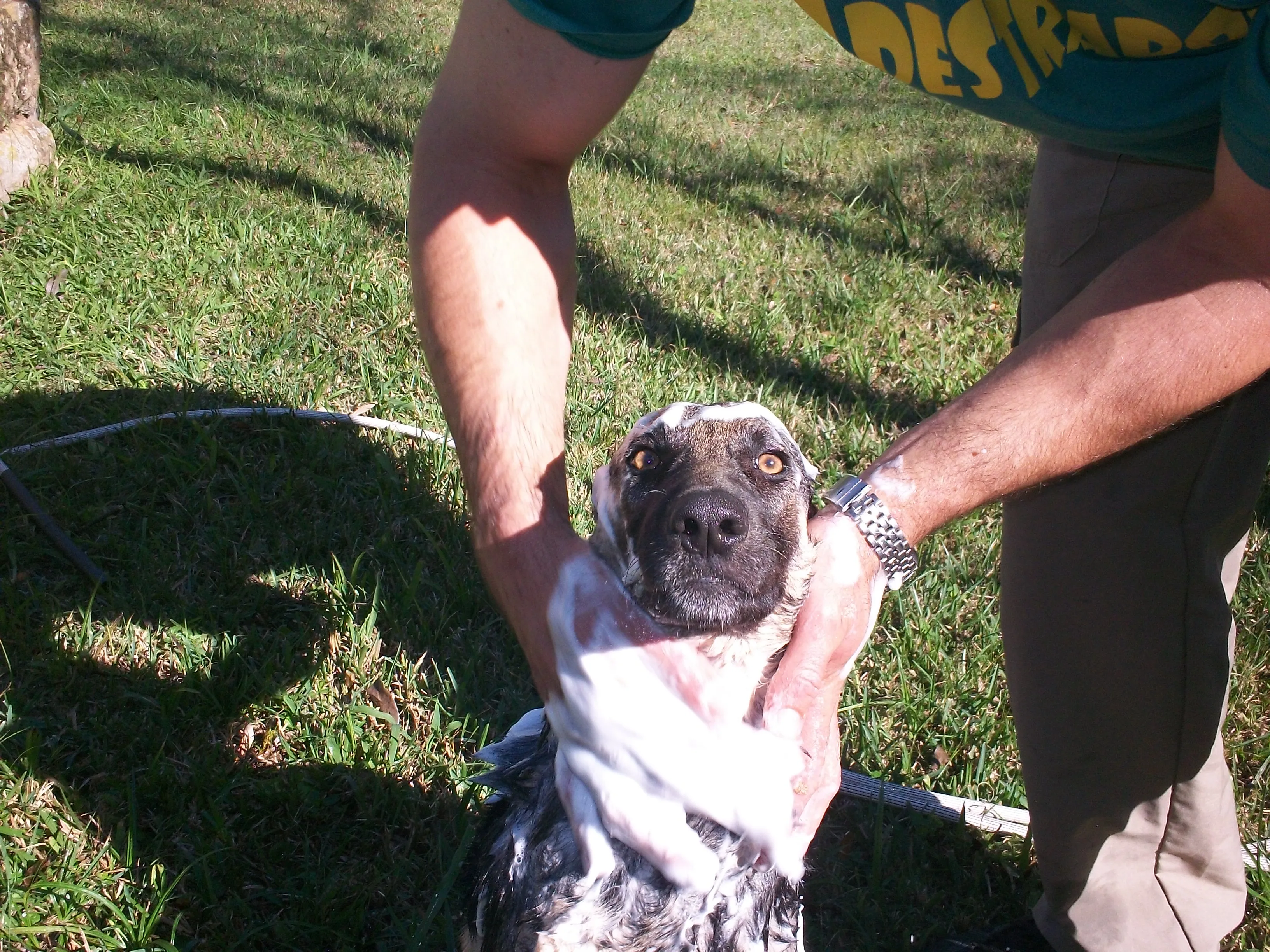 Bath Time, Ugh!