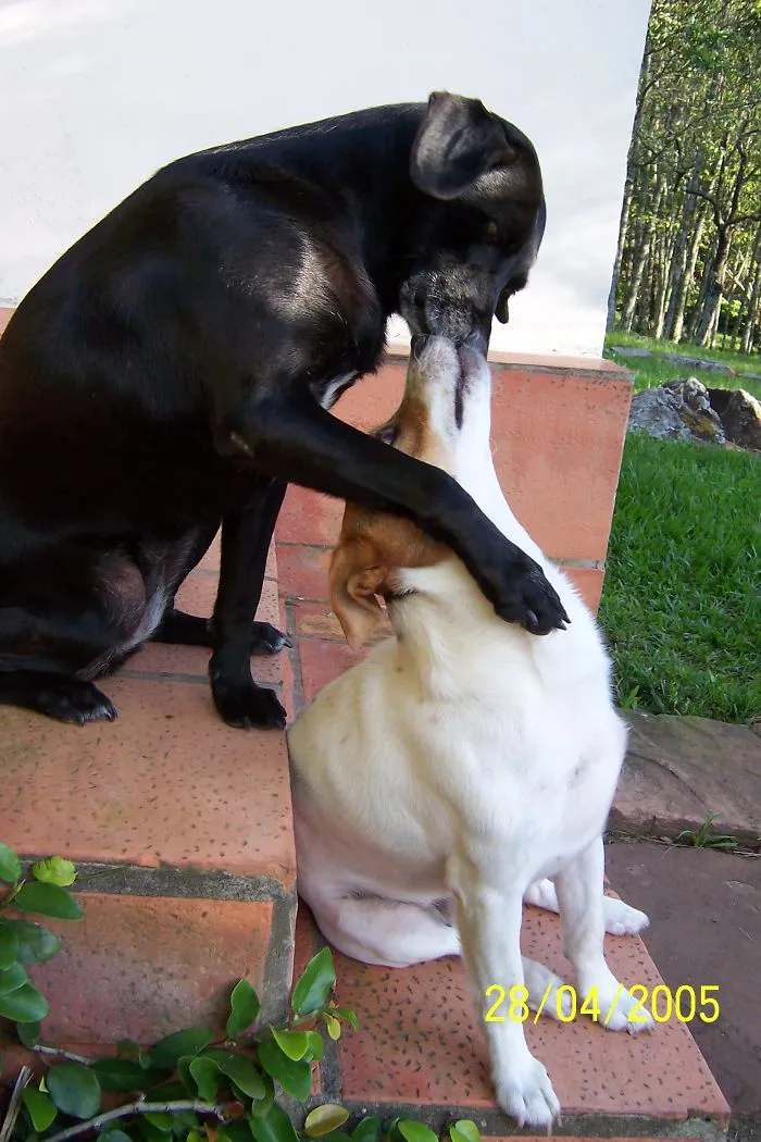 Brothers Forever!
