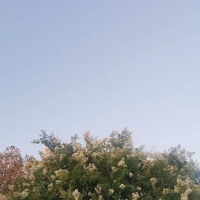 I'm A 16-Year-Old Photographer, And I View The World Through Photos