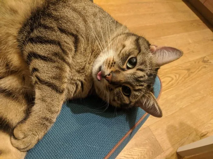 :p