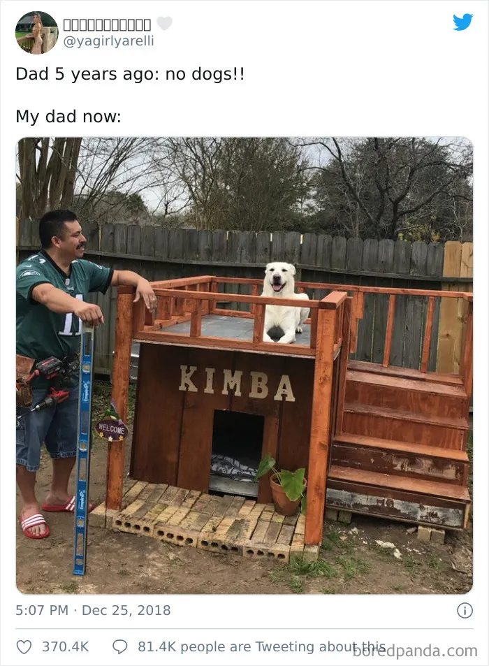 Papá hace 5 años: ¡Perros no! Mi padre ahora:
