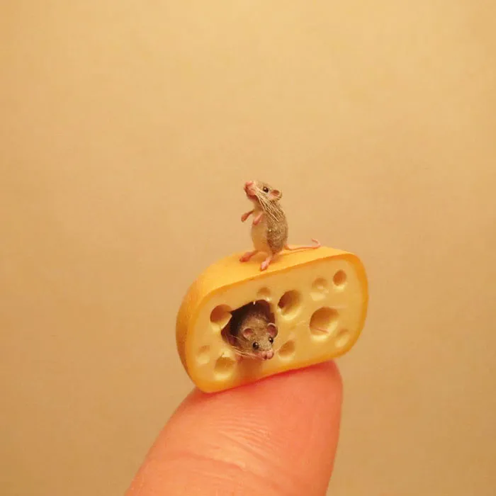 30 Biologically Accurate Miniature Animals Created By Renowned Hungarian Artist Fanni Sandor
