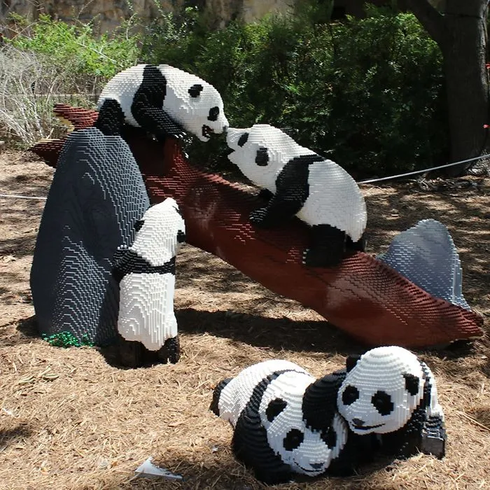 Baby Pandas