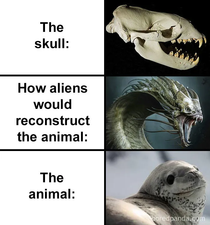 People Compare How Aliens Would Reconstruct Animals Based On Their Skulls Vs. What They Really Look Like (28 Pics)