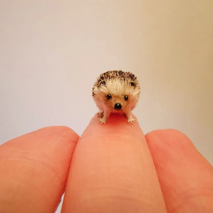 30 Biologically Accurate Miniature Animals Created By Renowned Hungarian Artist Fanni Sandor