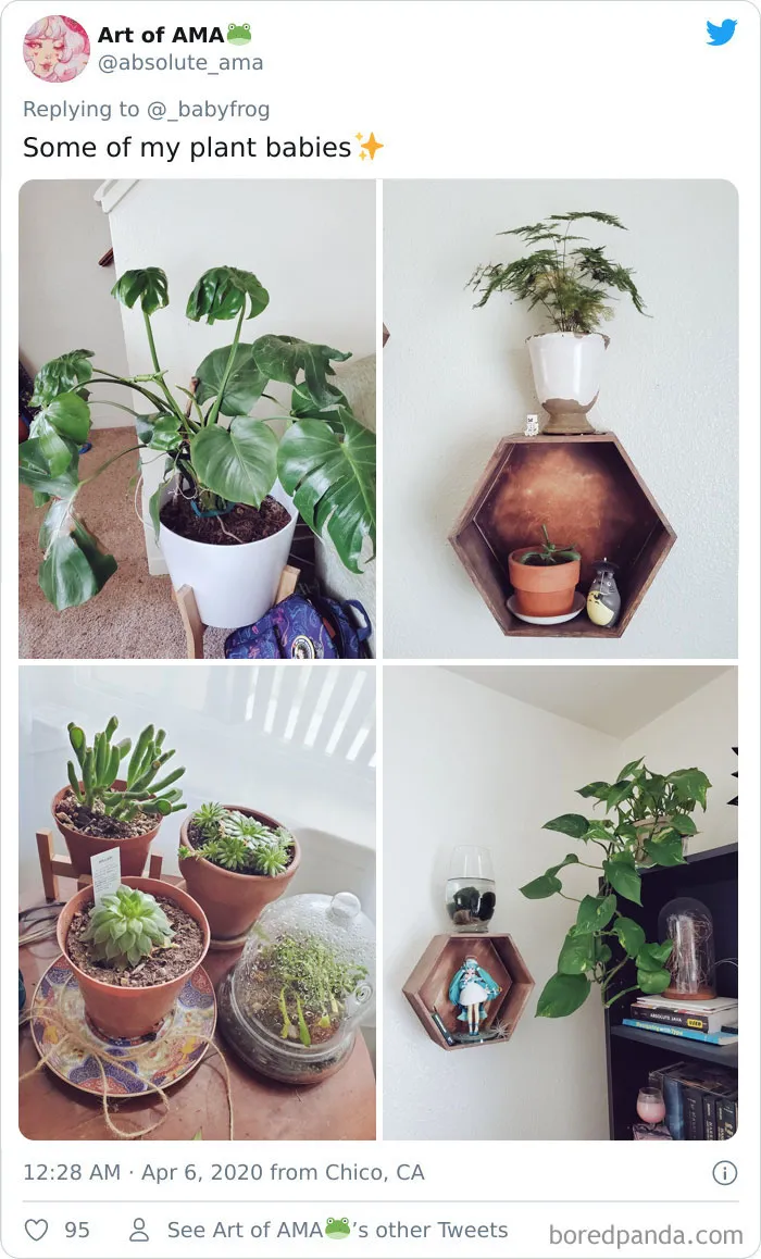 People Are Saying This Comic About Plants Is So True, And Post Pics To Prove It (30 Pics)