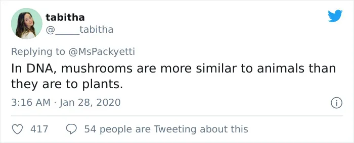 30 Random Things Twitter Told Us That We Should Have Learned In School
