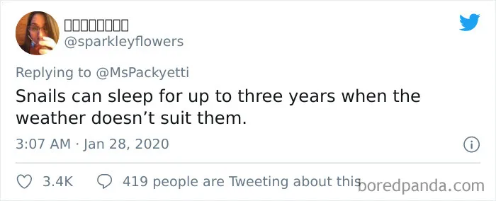 30 Random Things Twitter Told Us That We Should Have Learned In School