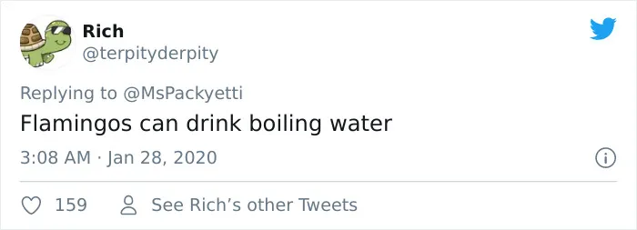 30 Random Things Twitter Told Us That We Should Have Learned In School