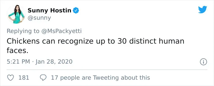 30 Random Things Twitter Told Us That We Should Have Learned In School
