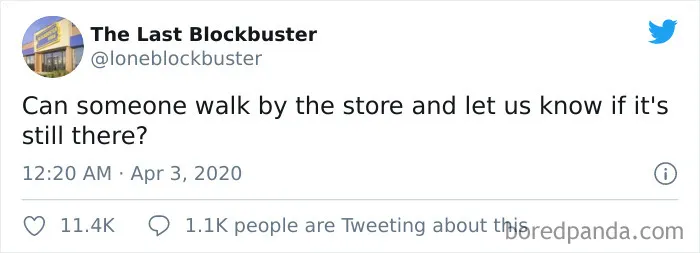 30 Of The Funniest Gems From "The Last Blockbuster" Twitter Account (New Pics)