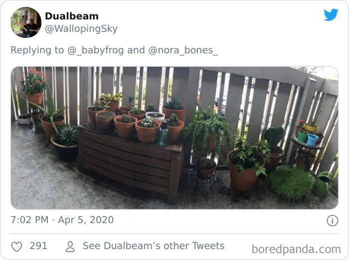 People Are Saying This Comic About Plants Is So True, And Post Pics To Prove It (30 Pics)