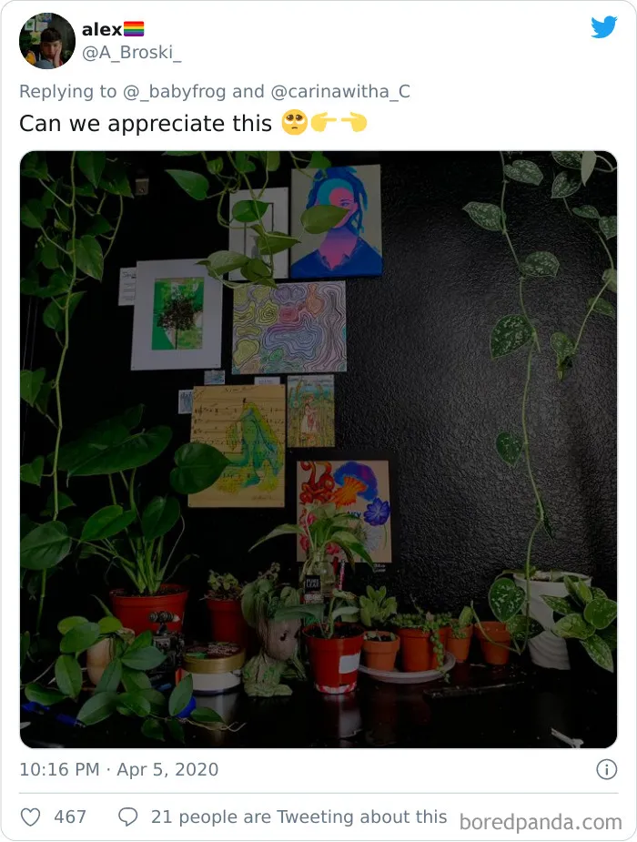 People Are Saying This Comic About Plants Is So True, And Post Pics To Prove It (30 Pics)