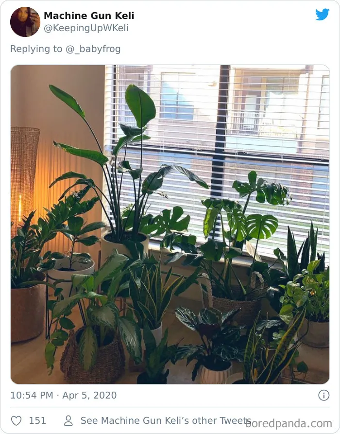 People Are Saying This Comic About Plants Is So True, And Post Pics To Prove It (30 Pics)
