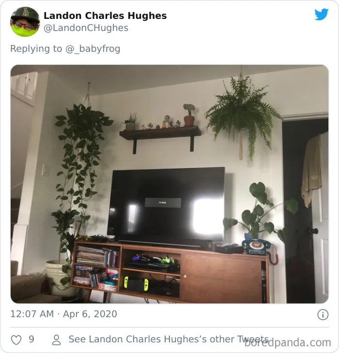 People Are Saying This Comic About Plants Is So True, And Post Pics To Prove It (30 Pics)