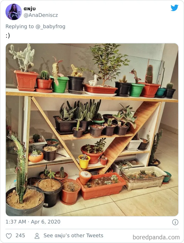 People Are Saying This Comic About Plants Is So True, And Post Pics To Prove It (30 Pics)