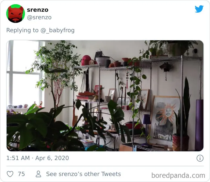 People Are Saying This Comic About Plants Is So True, And Post Pics To Prove It (30 Pics)