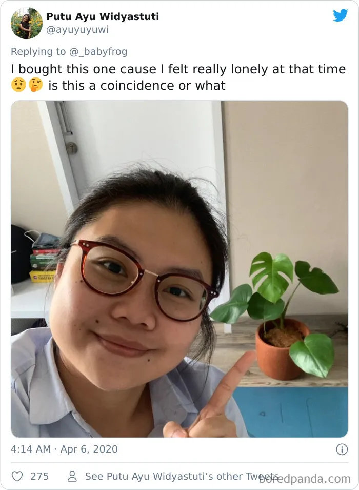 People Are Saying This Comic About Plants Is So True, And Post Pics To Prove It (30 Pics)