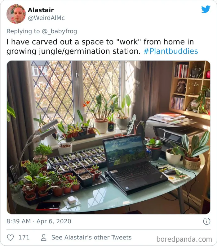 People Are Saying This Comic About Plants Is So True, And Post Pics To Prove It (30 Pics)