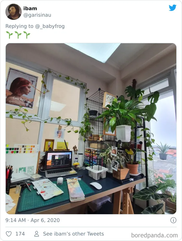 People Are Saying This Comic About Plants Is So True, And Post Pics To Prove It (30 Pics)