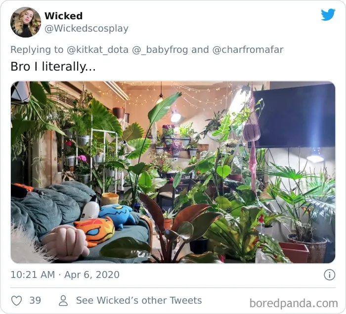 People Are Saying This Comic About Plants Is So True, And Post Pics To Prove It (30 Pics)