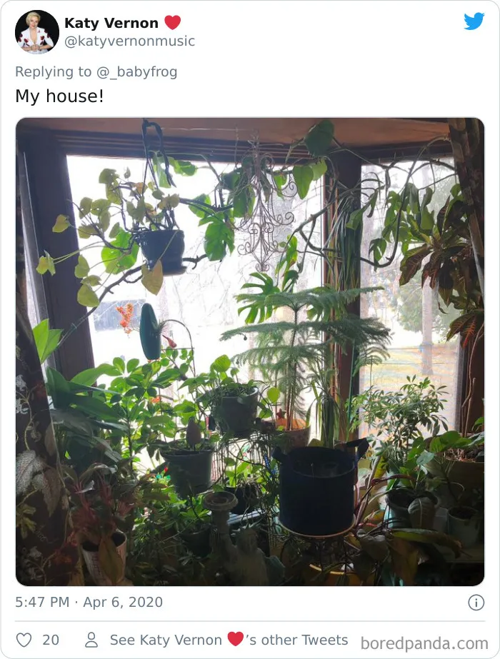 People Are Saying This Comic About Plants Is So True, And Post Pics To Prove It (30 Pics)