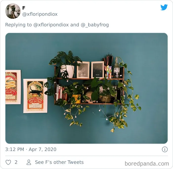 People Are Saying This Comic About Plants Is So True, And Post Pics To Prove It (30 Pics)