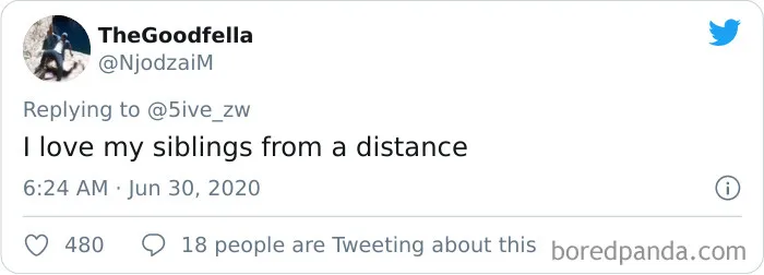 20 People On Twitter Illustrate How Weird Sibling Relationships Truly Are