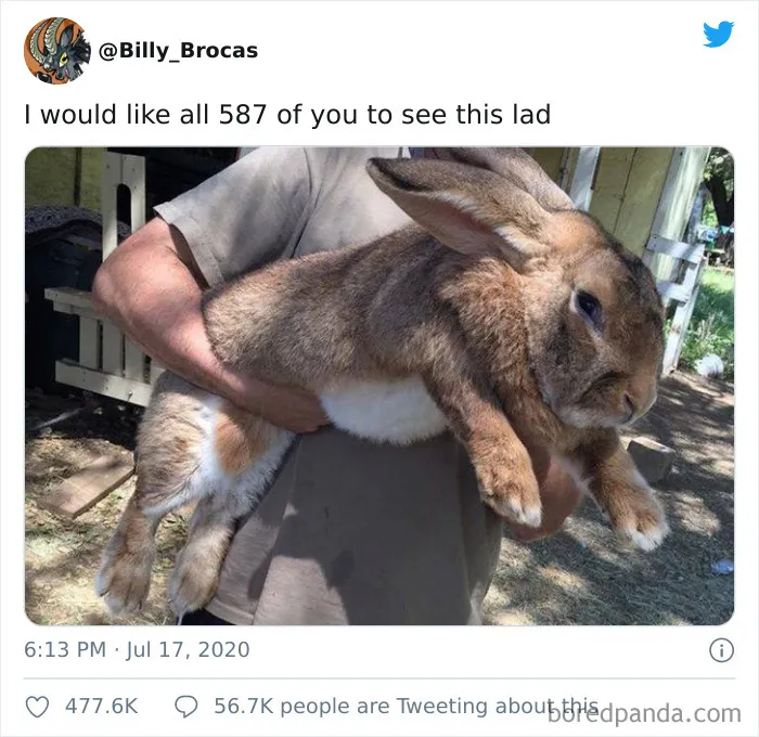 Complete Unit