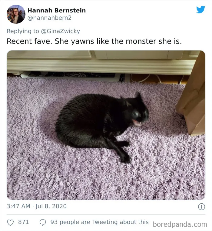 "The Only Content Permitted In This Thread Is Very Ugly Pictures Of Your Pets": Hilarious Twitter Thread Goes Viral