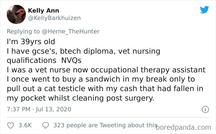 30 Times Intelligent Adults With Numerous Degrees Acted So Stupidly, It Resulted In Lots Of Embarrassment