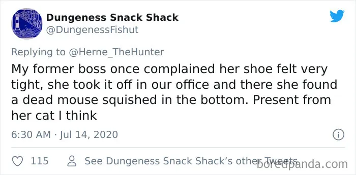 30 Times Intelligent Adults With Numerous Degrees Acted So Stupidly, It Resulted In Lots Of Embarrassment