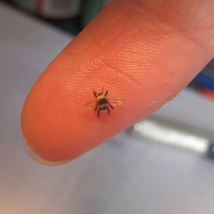 30 Biologically Accurate Miniature Animals Created By Renowned Hungarian Artist Fanni Sandor