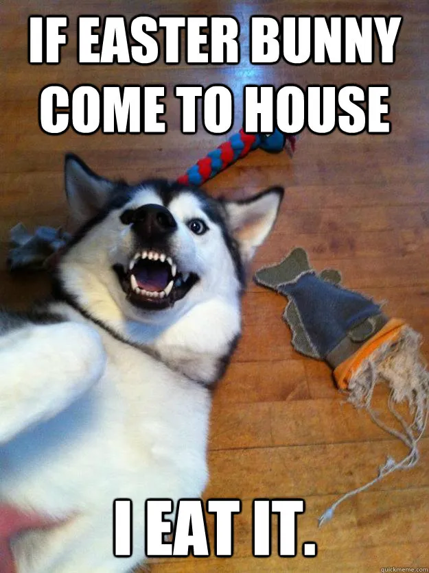 My Dog Be Like
