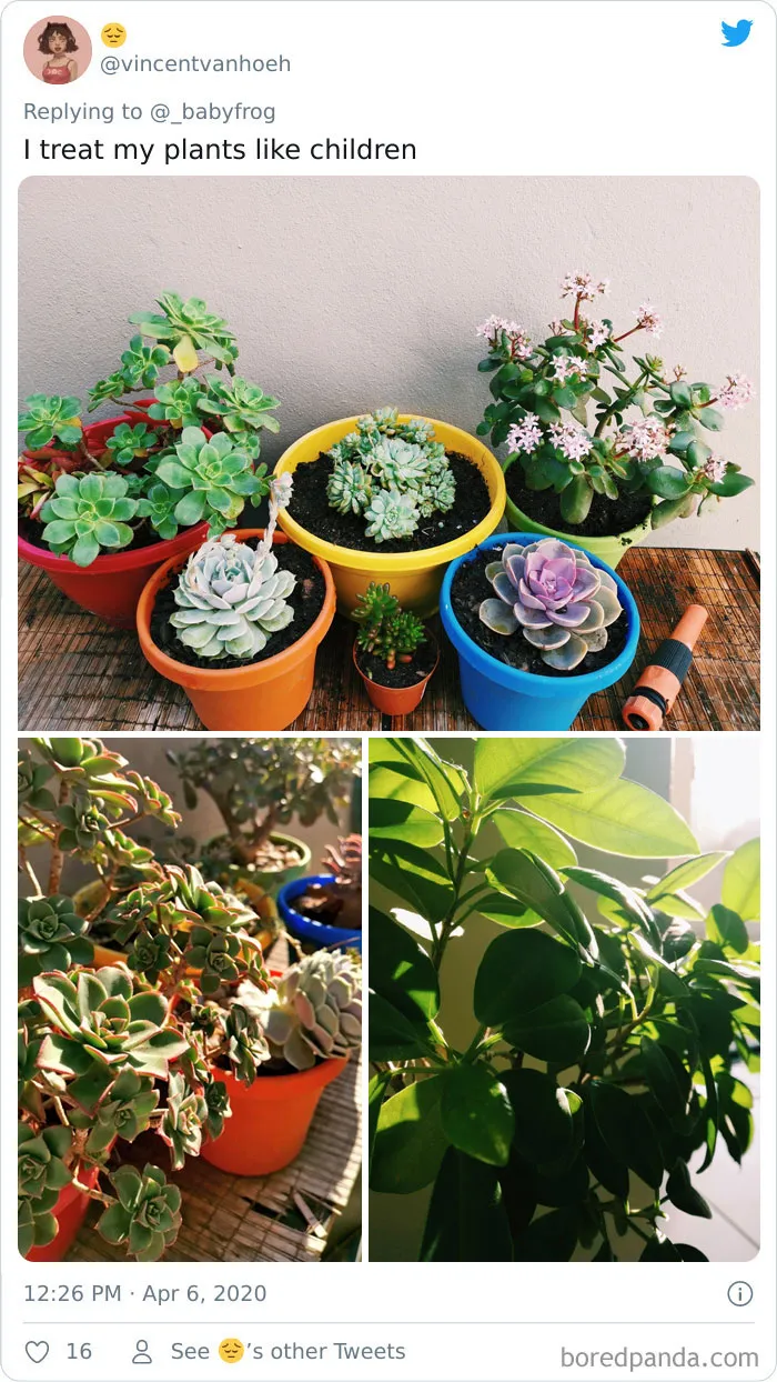 People Are Saying This Comic About Plants Is So True, And Post Pics To Prove It (30 Pics)