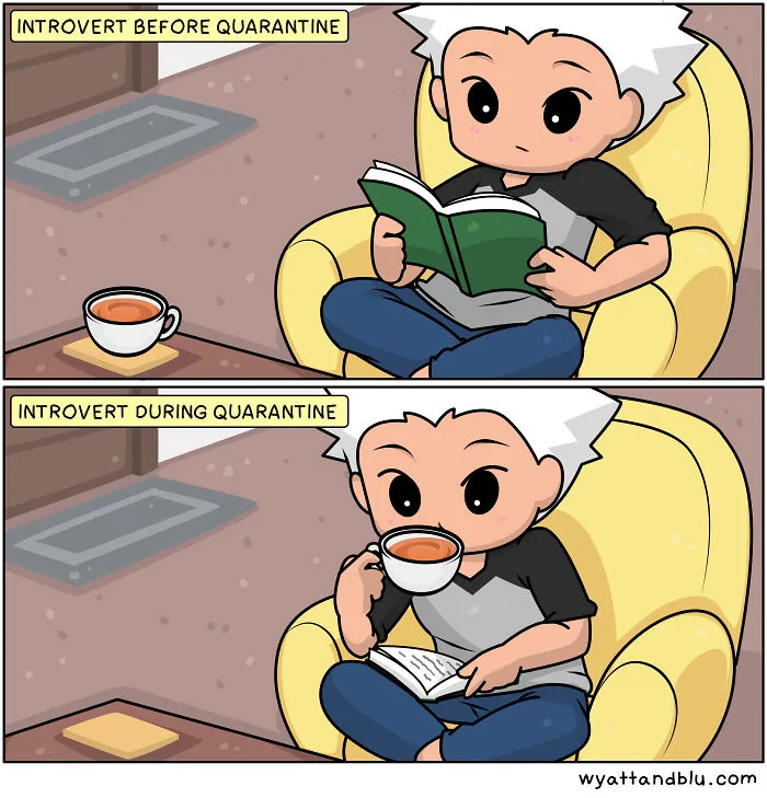 My 50 Wholesomely Funny Comics That I've Created During The Lockdowns
