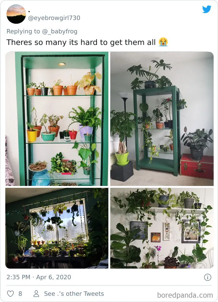 People Are Saying This Comic About Plants Is So True, And Post Pics To Prove It (30 Pics)